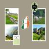Ireland Scrapbook Stickers - Decorative Irish Sticker for Scrapbooking, Travel Journal, Planner, Photo Album - Vacation Inspired Embellishment with Flag, Phrases Design - 2 Items view 4