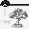 Crafts Too Two Jays Stamps - Janes Tree, Clear, CT-CTJJ254 view 1