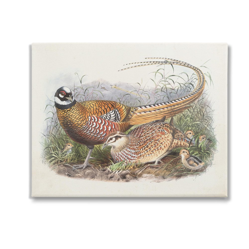 Stupell Industries Pheasant Family in Nature Canvas Wall Art by Wild Apple Portfolio