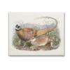 Stupell Industries Pheasant Family in Nature Canvas Wall Art by Wild Apple Portfolio view 1