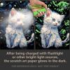 2 Pack Night Glow Scratch Art Rainbow Painting Paper, Magic Glow-in-the-Dark Scraping, Van Gogh Style Creative Craft Set, Fun DIY Toy Sketch Card Scratchboard for Kids, Adults (Dog / Cat) view 4