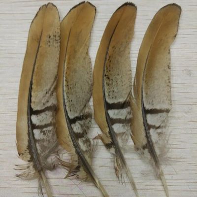 NineTribe Basics 50pcs/lot Natural Copper Chicken Feathers 4-6inch/10-15cm Decoration DIY Collection Stage Performances for Party/Wedding Decoration