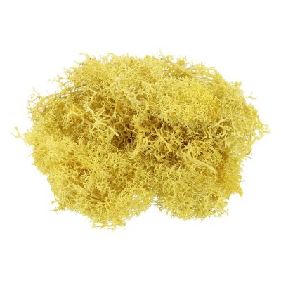 PATIKIL 7 OZ Fake Moss, Preserved Reindeer Decorative Artificial Faux Moss with Box for Indoor Potted Plants Flowerbeds Crafts Home Office Artistic Decoration, Yellow