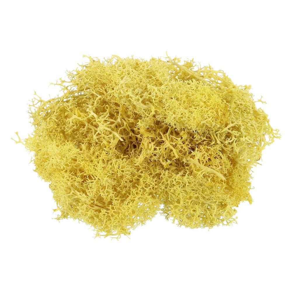 PATIKIL 7 OZ Fake Moss, Preserved Reindeer Decorative Artificial Faux Moss with Box for Indoor Potted Plants Flowerbeds Crafts Home Office Artistic Decoration, Yellow