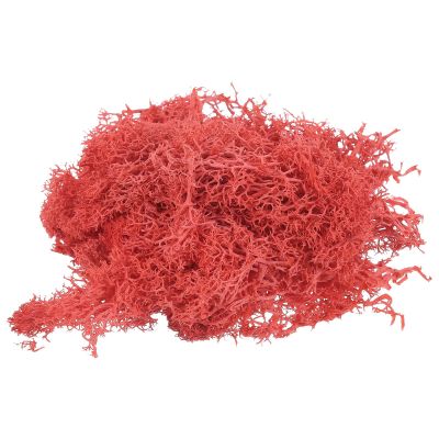 PATIKIL 7 OZ Fake Moss, Preserved Reindeer Decorative Artificial Faux Moss with Box for Indoor Potted Plants Flowerbeds Crafts Home Office Artistic Decoration, Red
