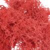 PATIKIL 7 OZ Fake Moss, Preserved Reindeer Decorative Artificial Faux Moss with Box for Indoor Potted Plants Flowerbeds Crafts Home Office Artistic Decoration, Red view 4