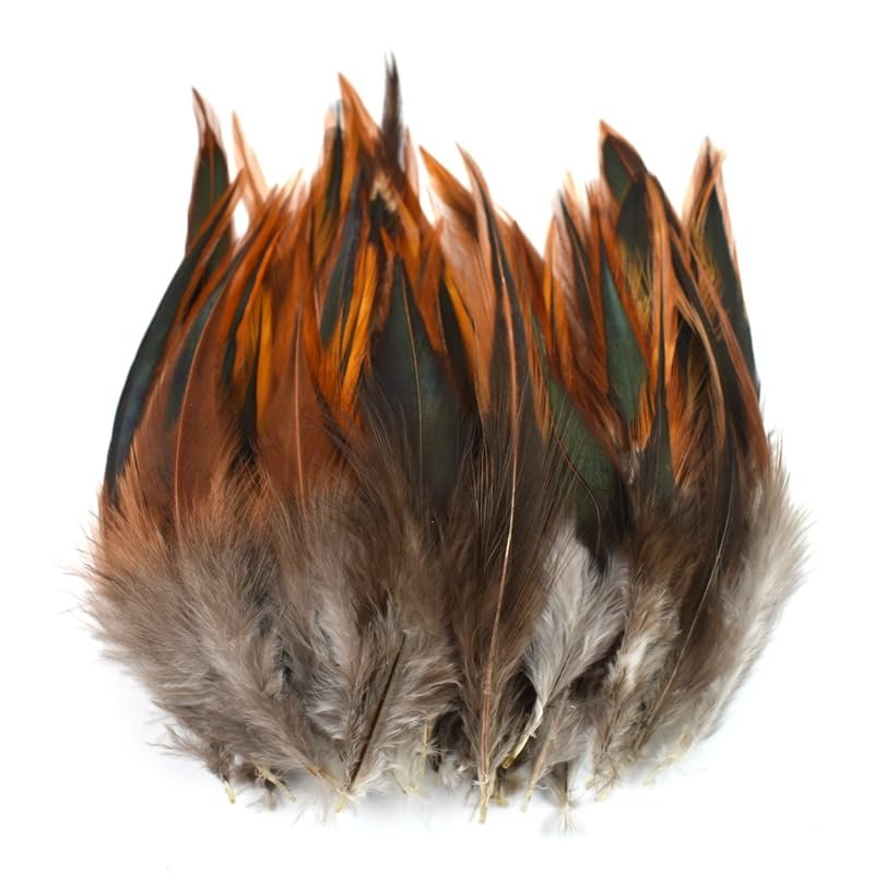 20Pcs Natural Chicken Pheasant Feathers for Decoration DIY Craft Supplies Plume Handicraft Accessories Dream Catcher Plume Decor - (Color: 10-15Cm 4-6Inch)
