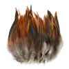 20Pcs Natural Chicken Pheasant Feathers for Decoration DIY Craft Supplies Plume Handicraft Accessories Dream Catcher Plume Decor - (Color: 10-15Cm 4-6Inch) view 1