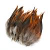 20Pcs Natural Chicken Pheasant Feathers for Decoration DIY Craft Supplies Plume Handicraft Accessories Dream Catcher Plume Decor - (Color: 10-15Cm 4-6Inch) view 4
