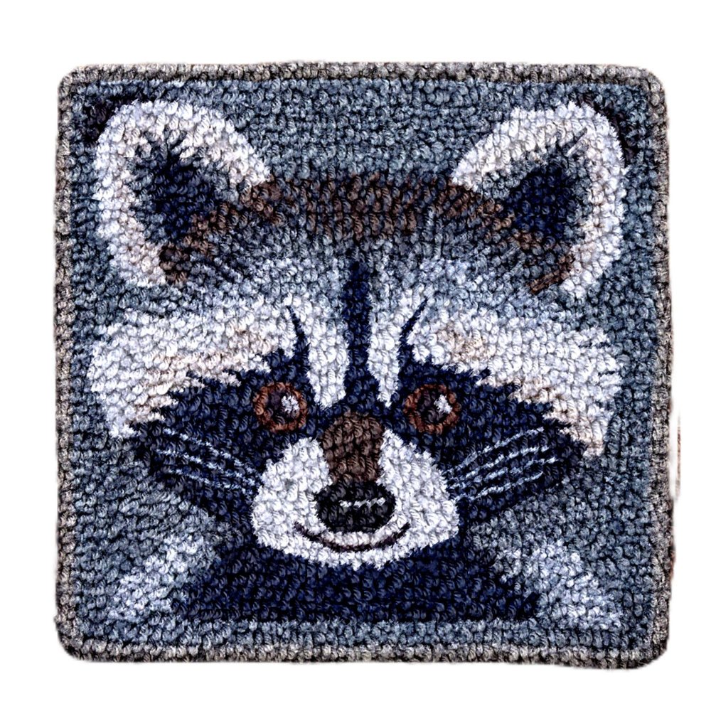 Cartoon Grey Raccoon Latch Hook Rug Kit for Beginner Kids Easy Little Mat with Printed Canvas DIY Hook Making Crochet Yarn Craft Tapestry for Decoration and Gift 12x12inch