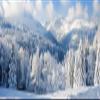Diamond Painting Kits for Adults, 5D DIY Snow Mountain Diamond Art Kits, Diamond Art Forest Paint by Numbers Kit for Adults, Crystal Gem Art Rhinestone Embroidery Kit for Home Wall Decor 16x36in G-6 view 2