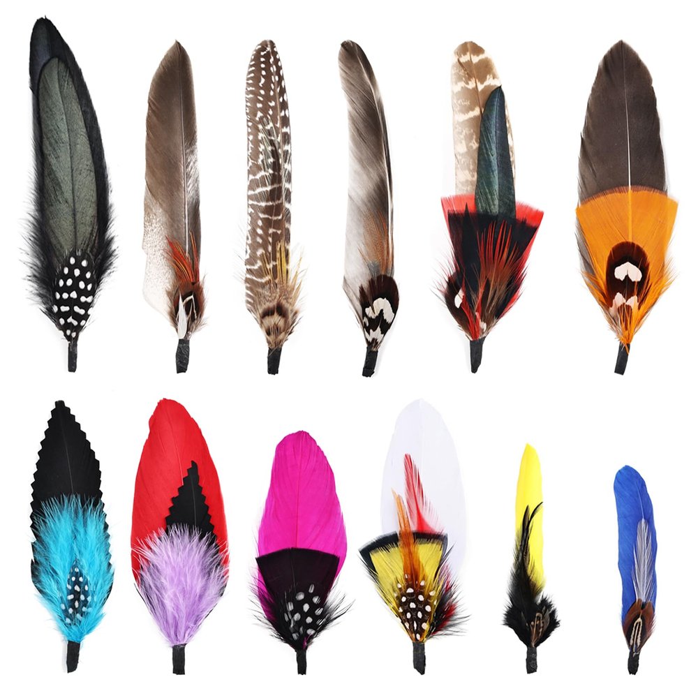 FeelfunFeather 12PCS Multicolor Hat Feathers for Western Cowboy, Oktoberfest, Trilby & Fedora Hats - Unisex Adult