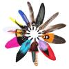 FeelfunFeather 12PCS Multicolor Hat Feathers for Western Cowboy, Oktoberfest, Trilby & Fedora Hats - Unisex Adult view 3