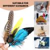 FeelfunFeather 12PCS Multicolor Hat Feathers for Western Cowboy, Oktoberfest, Trilby & Fedora Hats - Unisex Adult view 4
