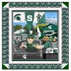 College Quilt Kit - Spartans Tailgate Panel - Pre-Cut Fabrics - Premium Licensed Fabrics for Quilting - Lap Size (47"x55") (Michigan State) view 1