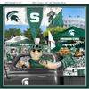 College Quilt Kit - Spartans Tailgate Panel - Pre-Cut Fabrics - Premium Licensed Fabrics for Quilting - Lap Size (47"x55") (Michigan State) view 3
