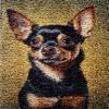 Little Black Chihuahua Dog Latch Hook Rug Kit for Adults DIY Carpet Cushion with Printed Canvas Crochet Yarn Craft Hook and Latch Tapestry for Home Decor Pets Warm Pads 52x38cm view 1