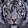 Animal White Tiger Latch Hook Rug Kit for Adults DIY Carpet Cushion with Printed Canvas Crochet Yarn Craft Hook and Latch Tapestry for Home Decor Pets Warm Pads 52x38cm(3) view 1