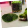 Outanaya 6pcs Artificial Mossy Stone Model for Garden Layout Realistic Faux Rocks for Miniature Landscapes Lawn Decor and Photography Props view 2