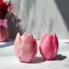 Chistepper 4 Pieces Tulip Molds 3D Tulip Candle Molds Tulip Flower Silicone Mold Flower Mold for Candle Making Silicone Molds for Soy Wax, Beeswax, Candle Making, Resin Craft, Clear view 2