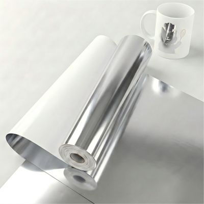 Euvin Sliver Permanent Vinyl Roll - 12" x 10 FT for Cricut & Silhouette Cameo, Glossy