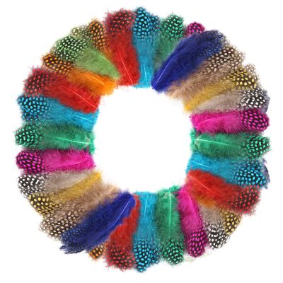 FeelfunFeather 240 pcs Colored Spotted Feathers 2-3inch Bulk Small Guinea Fowl Polka Dot Feather for DIY Crafts Clothing Hats Decoration