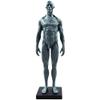 MIZHENG Male and Female Resin Human Anatomical Anatomy Skull Head Body Model Muscle Bone Model Medical Lab Reference Model Human Anatomical Anatomy Skull Head Body Model Muscle Bone Model 2 pcs 30 cm view 2