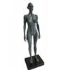 MIZHENG Male and Female Resin Human Anatomical Anatomy Skull Head Body Model Muscle Bone Model Medical Lab Reference Model Human Anatomical Anatomy Skull Head Body Model Muscle Bone Model 2 pcs 30 cm view 3