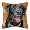 LAPATAIN Personalized Photo Custom Latch Hook Kits for Adults,Private Custom Picture DIY Throw Pillow Cover Carpet,Beginners Handmade Needlework Crafts Home Decoration 17x17inch or 20.5x15inch view 3