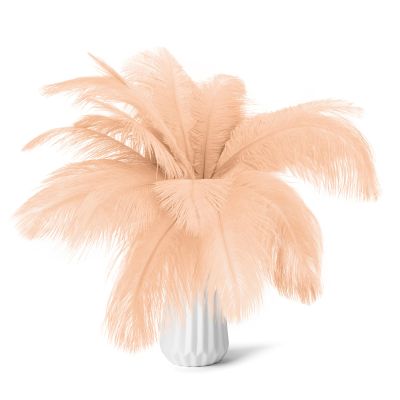 80pcs 15-17 inches (38-43 cm) Natural Bulk Ostrich Feathers Kit. Kits Contain 8-10 inches of Feathers and 7 inches of White Feather Sticks.for Various DIY Projects. (Champagne, 8-10-Inch)