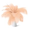 80pcs 15-17 inches (38-43 cm) Natural Bulk Ostrich Feathers Kit. Kits Contain 8-10 inches of Feathers and 7 inches of White Feather Sticks.for Various DIY Projects. (Champagne, 8-10-Inch) view 1