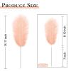 80pcs 15-17 inches (38-43 cm) Natural Bulk Ostrich Feathers Kit. Kits Contain 8-10 inches of Feathers and 7 inches of White Feather Sticks.for Various DIY Projects. (Champagne, 8-10-Inch) view 2