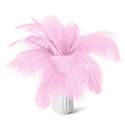 80pcs 15-17 inches (38-43 cm) Natural Bulk Ostrich Feathers Kit. Kits Contain 8-10 inches of Feathers and 7 inches of White Feather Sticks.for Various DIY Projects. (Light Pink, 8-10-Inch)