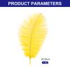 PATIKIL 30 Pcs Natural Ostrich Feathers Bulk 8-10 Inch/ 20-25 cm Large Ostrich Feathers for Crafts Home Decoration Wedding Party Vase Decor (Yellow) view 2