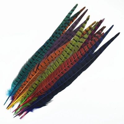 NineTribe Basics 10Pcs/Lot Colored Natural Ringneck Long Pheasant Feathers For Crafts Decor Clothes 40-55Cm Large Feathers DIY Carnival Decoration - (Multicolor / 40-45Cm 16-18Inch)