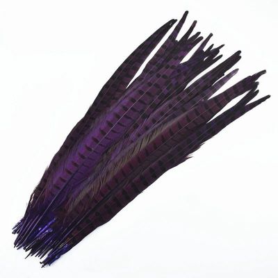 NineTribe Basics 10Pcs/Lot Colored Natural Ringneck Long Pheasant Feathers For Crafts Decor Clothes 40-55Cm Large Feathers DIY Carnival Decoration - (Purple / 40-45Cm 16-18Inch)