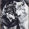Black White Wolves Lover DIY 11CT Stamped Cross Stitch Kits for Beginners Easy Needlepoint Embroidery Counted Cross Stitch Art Craft for Wall Decoration 20x20inch(4) view 1