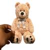 Set of 12 Assorted Teddy Bear Cutouts, 110lb Matte White Card Stock, 4 Designs, 3 of Each Design, Sizes Vary view 1