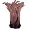 JPHHRP 50Pcs/ Rooster Feathers For Crafts Black White Large Pheasant Feather Cock Chicken Carnival Accessories Diy Craft,Dark Brown,12-14inch 30-35cm view 1