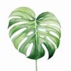CISDKK Nature Ornament Pattern,Embroidery with Plant Patterns,Botanicals,Abstract,Plant Greenerys,Leafs,Green,Bedroom Wall Decor,11CT,9.45 * 13.39 inch view 1