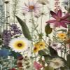 SLWYOUN 5D Diamond Painting Kits Flower DIY Various Wildflowers Diamond Kits Full Drill Diamond Painting Art for Adults Gift Presents Home Wall Decor Gem Arts 12x16 inch view 1