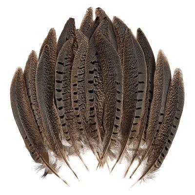 MAOFENG 12pcs Natural Feathers Male Ringneck Pheasant Tails Feathers 6-8inch 15-20cm for Crafts Wedding Party Performance Home DIY Decoration,Male Pheasant Feathers