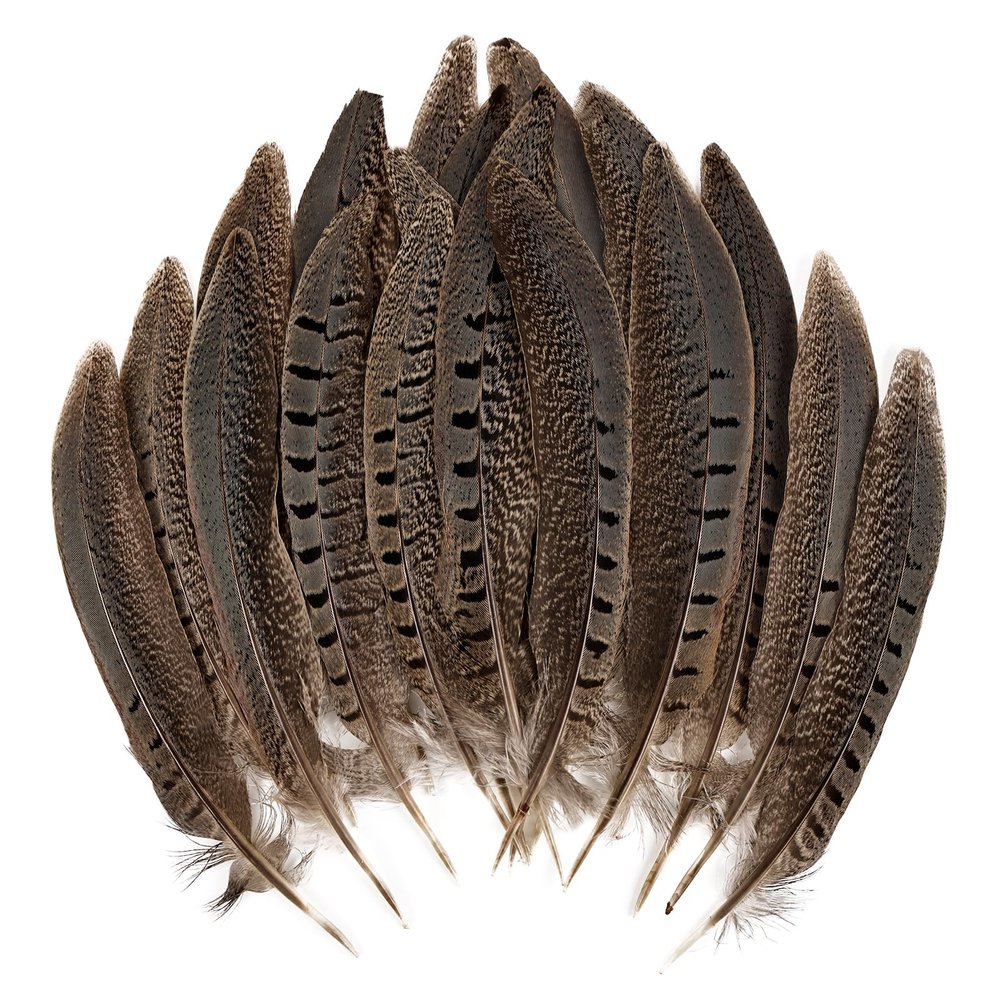 MAOFENG 12pcs Natural Feathers Male Ringneck Pheasant Tails Feathers 6-8inch 15-20cm for Crafts Wedding Party Performance Home DIY Decoration,Male Pheasant Feathers