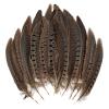 MAOFENG 12pcs Natural Feathers Male Ringneck Pheasant Tails Feathers 6-8inch 15-20cm for Crafts Wedding Party Performance Home DIY Decoration,Male Pheasant Feathers view 1