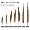 MAOFENG 12pcs Natural Feathers Male Ringneck Pheasant Tails Feathers 6-8inch 15-20cm for Crafts Wedding Party Performance Home DIY Decoration,Male Pheasant Feathers view 2