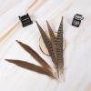 MAOFENG 12pcs Natural Feathers Male Ringneck Pheasant Tails Feathers 6-8inch 15-20cm for Crafts Wedding Party Performance Home DIY Decoration,Male Pheasant Feathers view 4