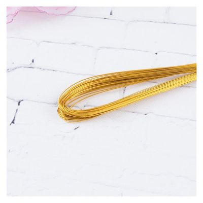 HDNSAUD Floral Wire 25/50pcs Stocking Flower Wire 80cm Length Artificial Branches Twigs Iron Wire for Nylon Stocking Flower Making DIY Accessory(Gold,N24 0.6mm 50 pcs)