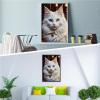 Directo DIY 5D Digital Diamond Painting KitCute Animals Full Diamond CrystalSmiling Angel Rhinestone Embroidery Turkish Angora Cat Diamond Crafts for Home Wall Decoration 16x20inch view 3
