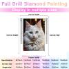 Directo DIY 5D Digital Diamond Painting KitCute Animals Full Diamond CrystalSmiling Angel Rhinestone Embroidery Turkish Angora Cat Diamond Crafts for Home Wall Decoration 16x20inch view 4