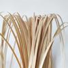 Czsycdsf 50 Pcs 1.85 Meters Bamboo Strips for Weaving, 4.2mm Wide Smooth Flat Webbing Basket Weaving Strips Weaving Materials for Chair Making Webbing Basket Wicker Weaving DIY Craft Rattan Cane view 1